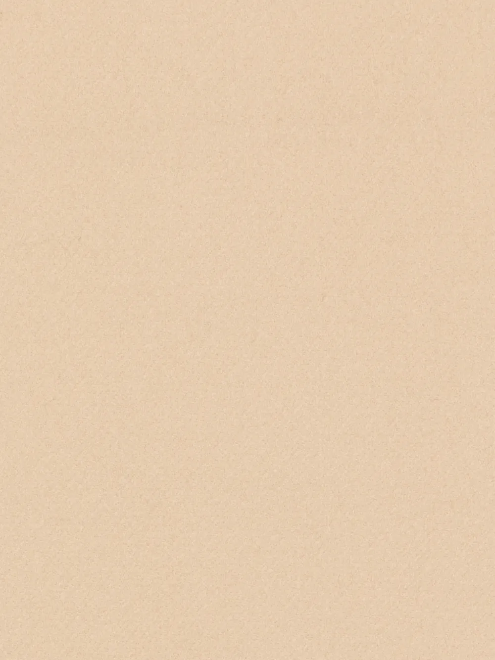 SANDRO Sjaal met franje Beige