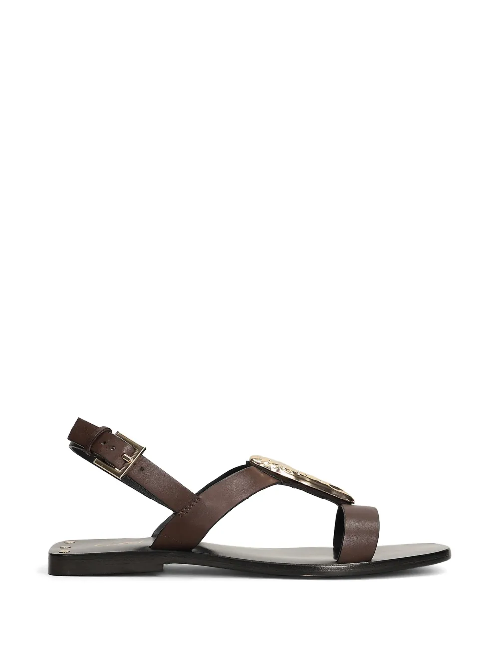 CORAL BLUE Sandalen met gesp Bruin