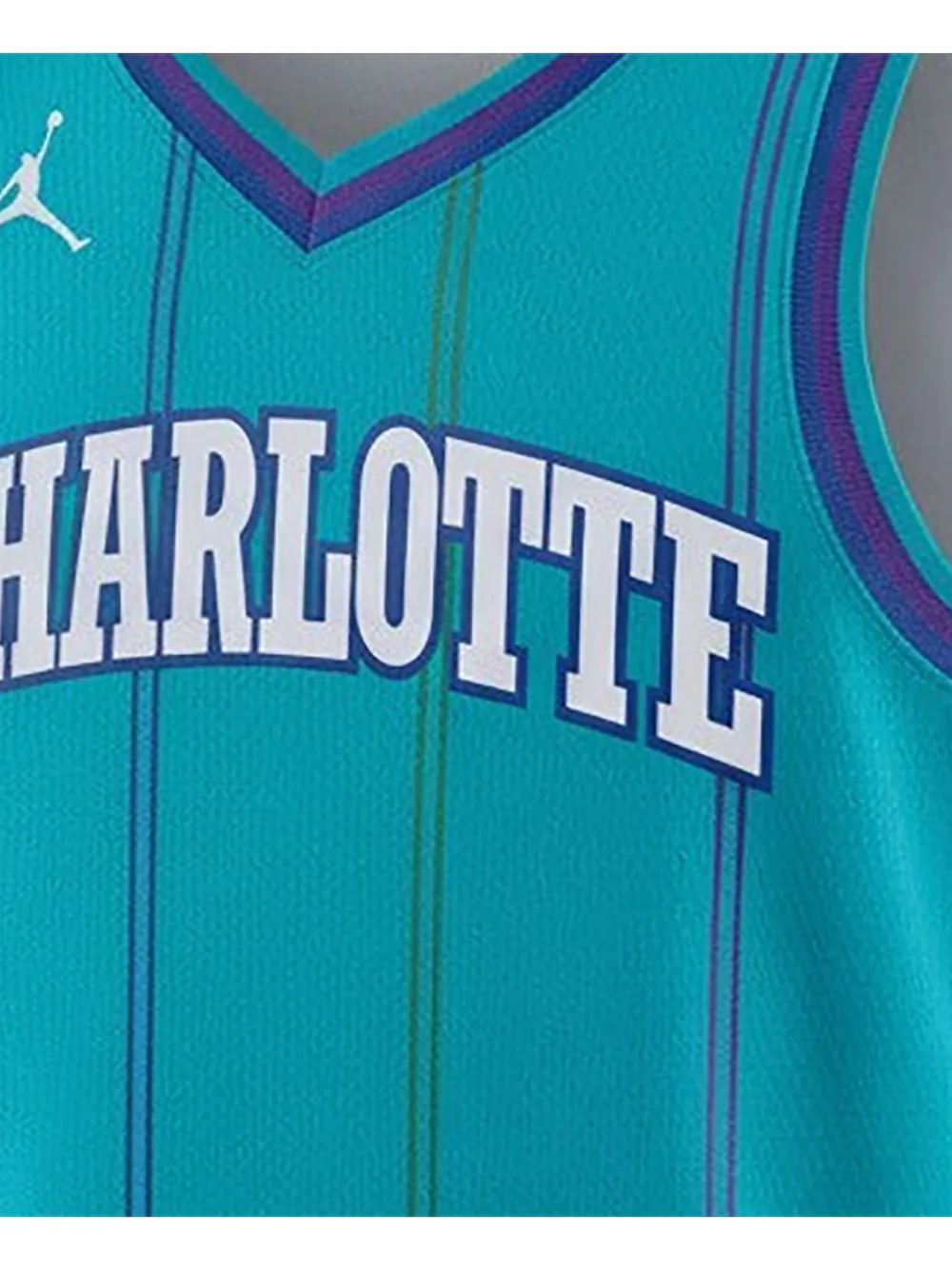 Nike Hardwood Classic Swingman jersey Blauw