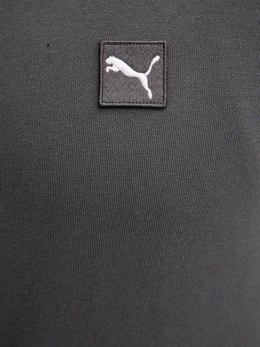 PUMA Hoodie met trekkoord Grijs