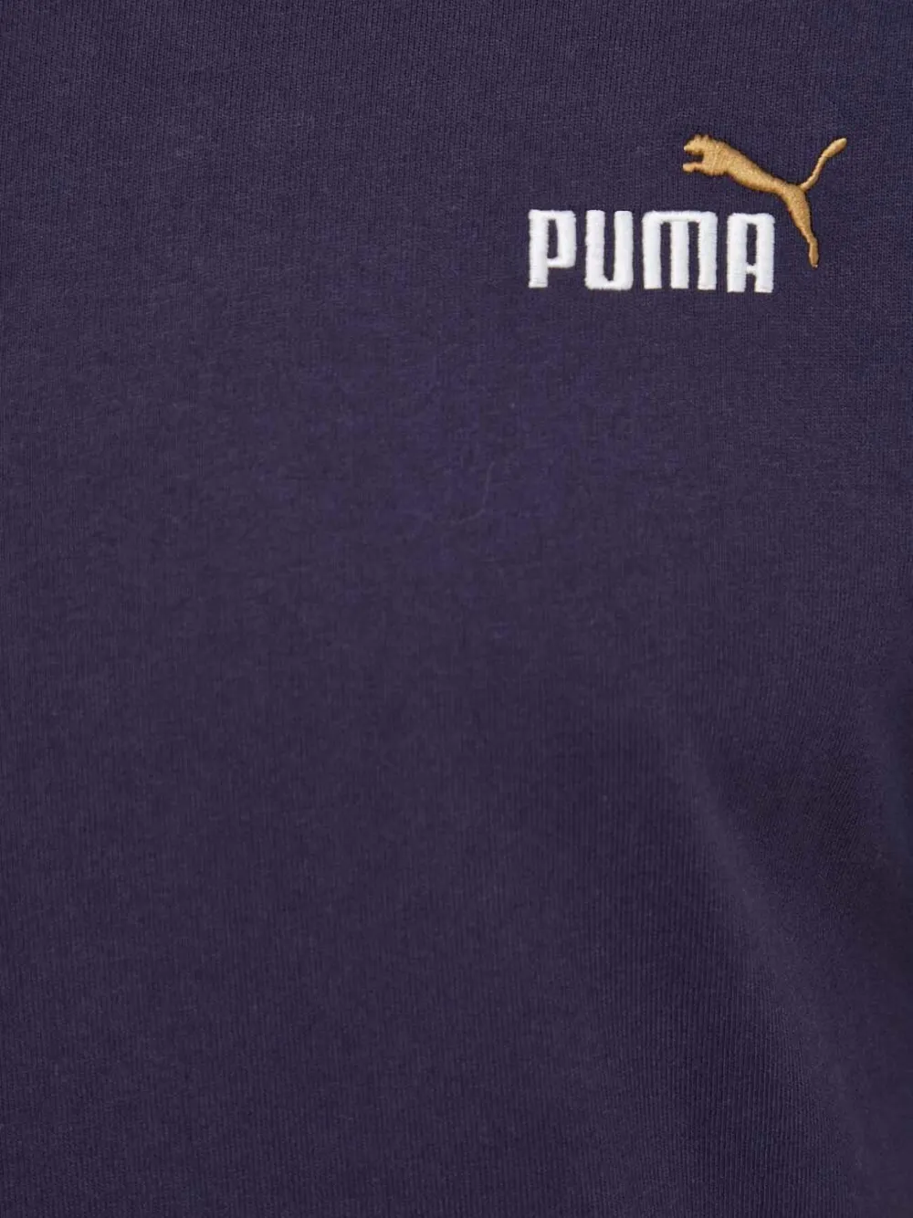 PUMA 75 Logo Celebration T-shirt Blauw