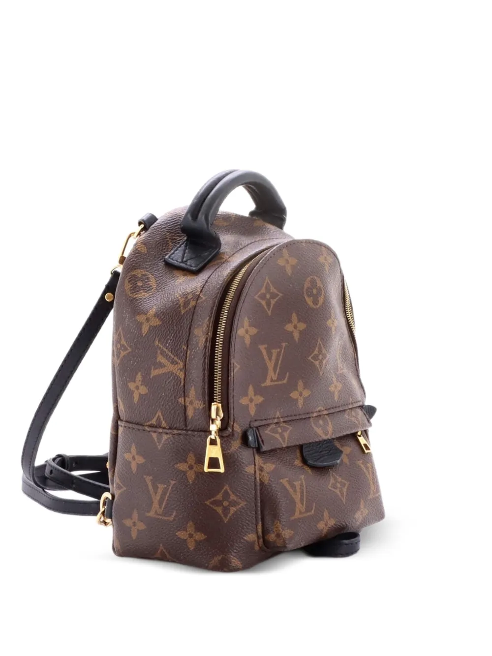 Louis Vuitton Pre-Owned Mini Palm Springs Rucksack aus Canvas mit Monogramm - Braun