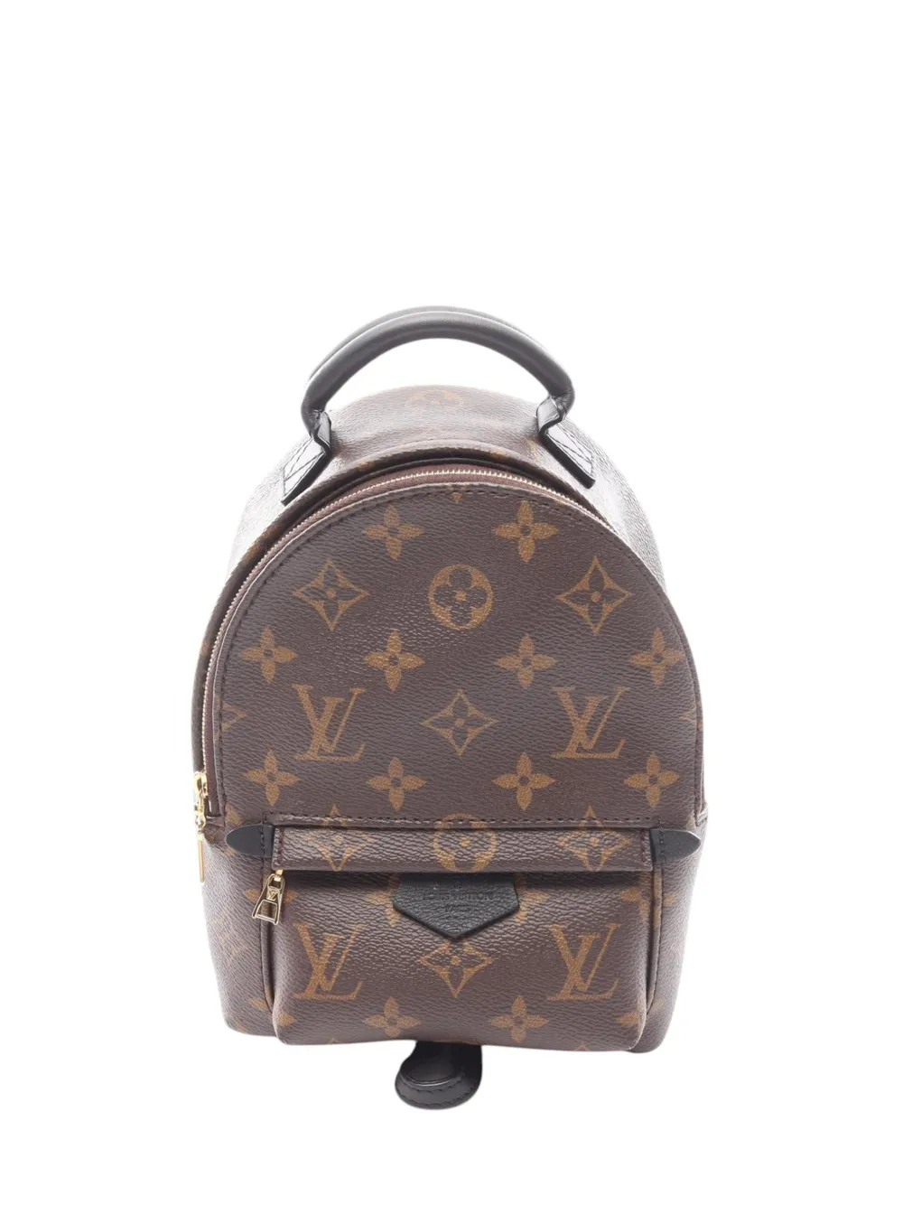 Louis Vuitton Pre-Owned 2021-2026 Monogram Mini Palm Springs backpack - Marrone
