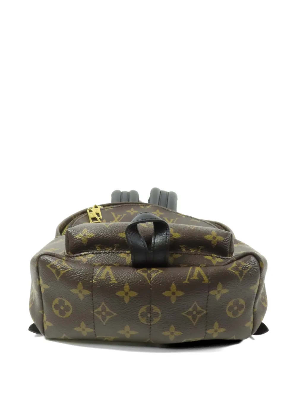 Louis Vuitton Pre-Owned Palm Springs Monogram backpack - Marrone
