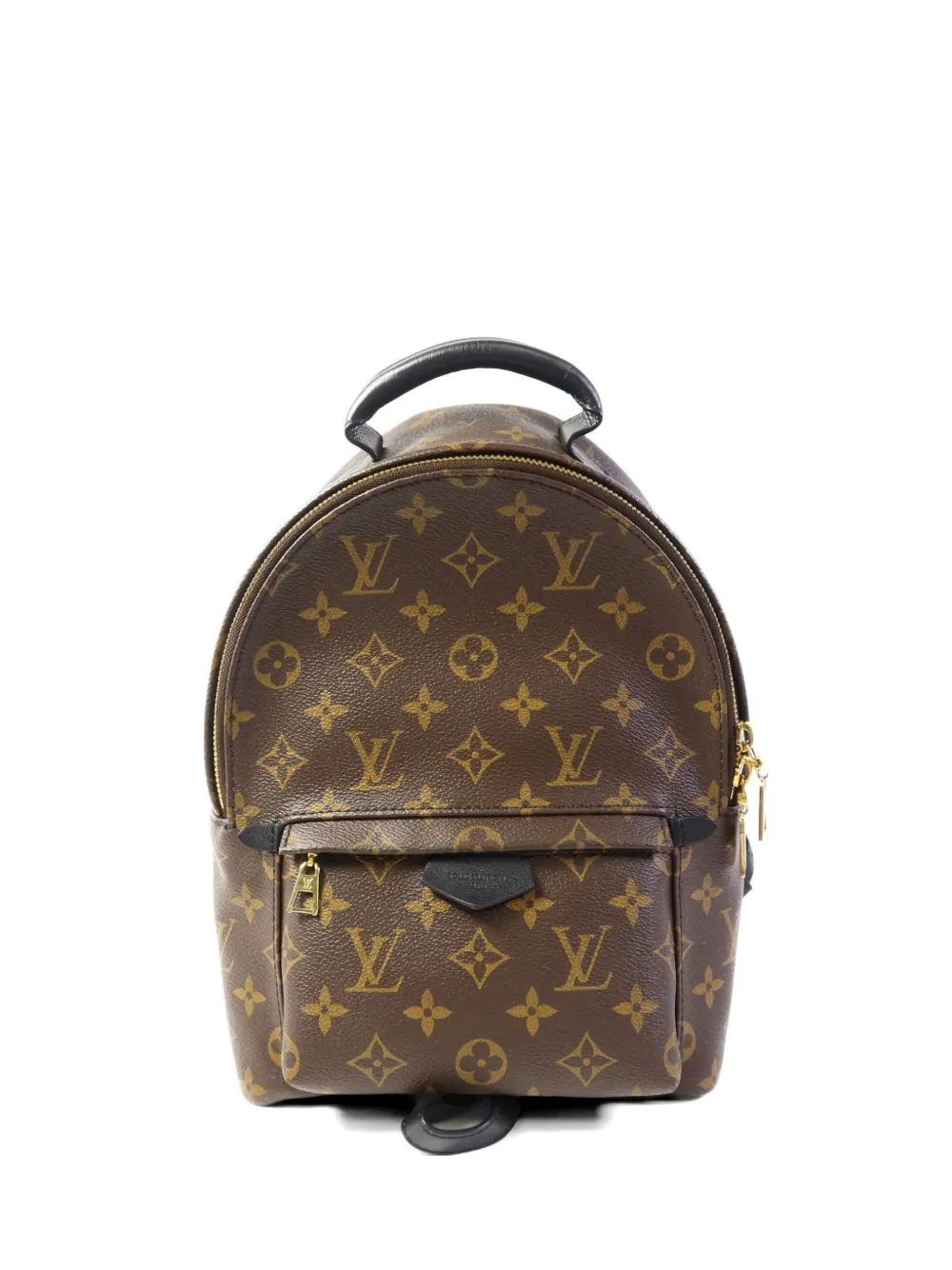 Louis Vuitton Pre-Owned Palm Springs backpack - Marrone