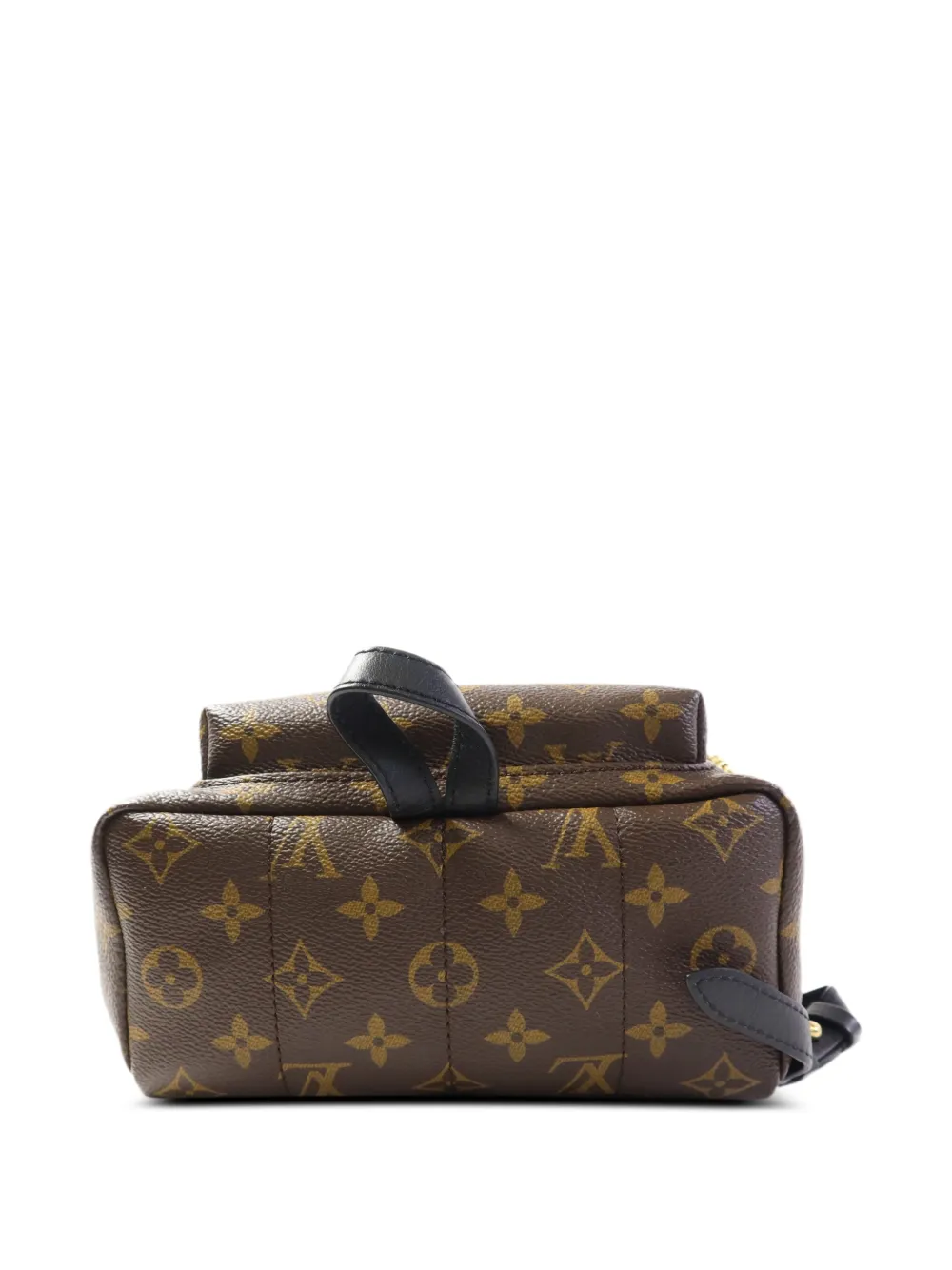 Louis Vuitton Pre-Owned Palm Springs rugzak Bruin