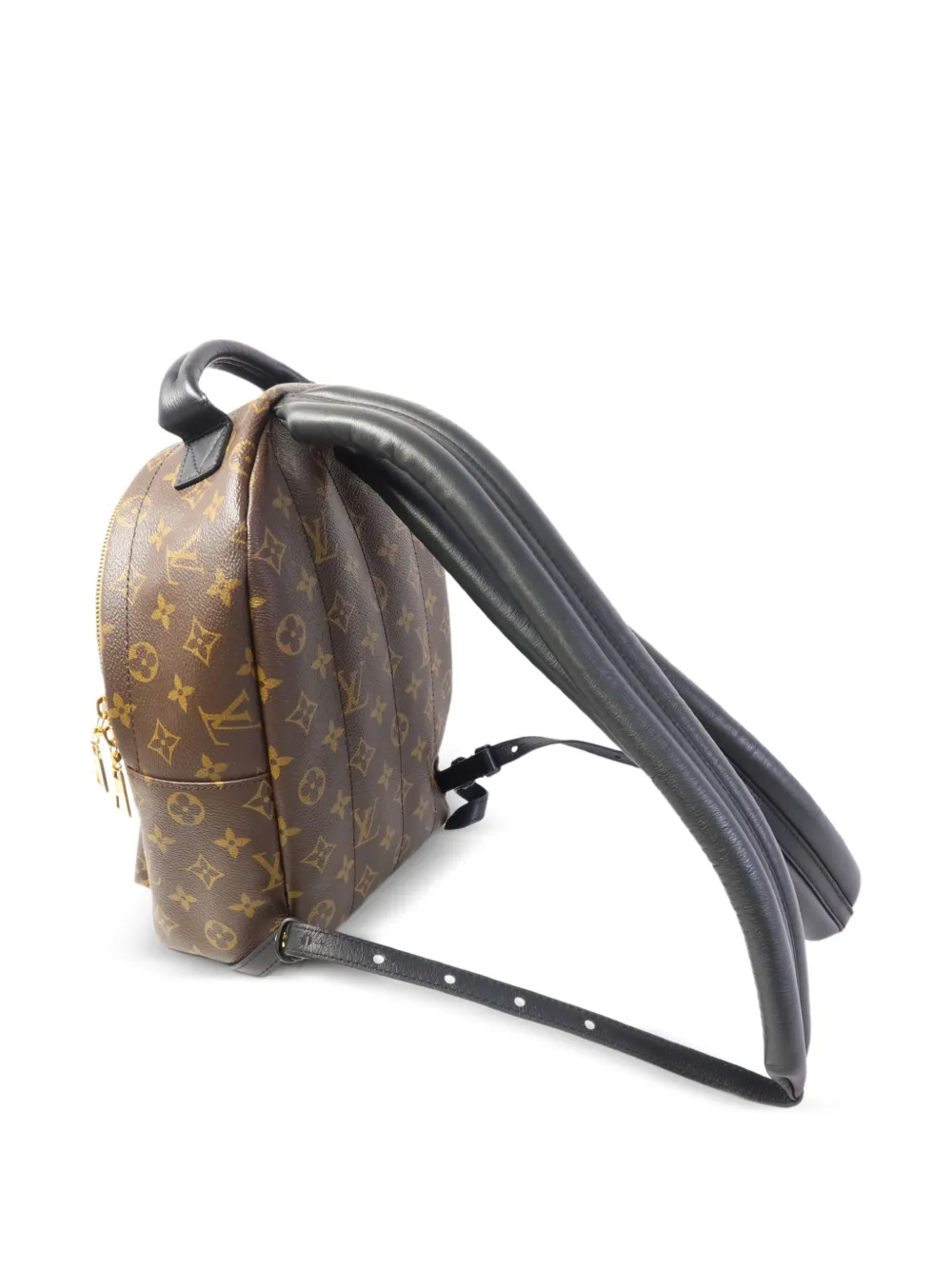 Louis Vuitton Pre-Owned Palm Springs rugzak Bruin