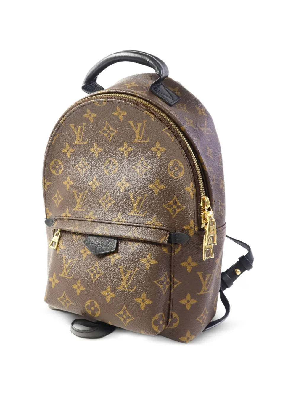 Louis Vuitton Pre-Owned Palm Springs rugzak Bruin