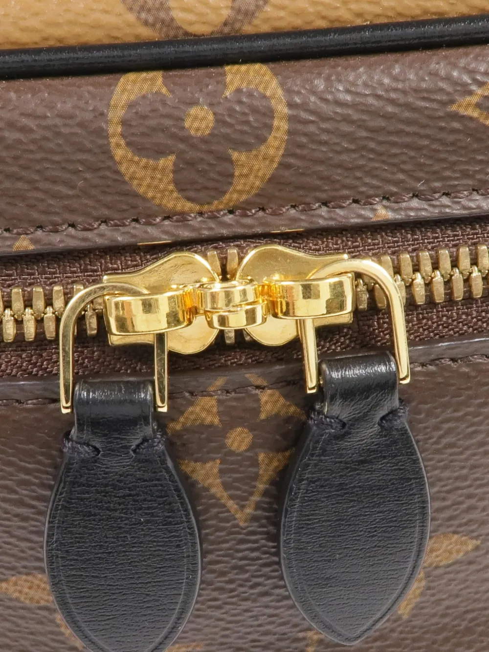 Louis Vuitton Pre-Owned Reverse Vanity crossbodytas Bruin