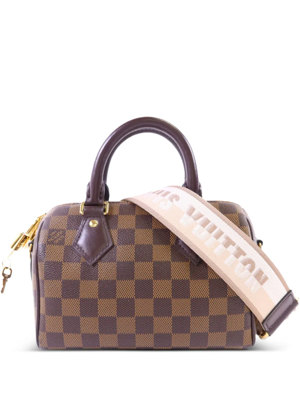 Louis Vuitton Pre-Owned Borsa tote Speedy Bandouliere 20 - Marrone