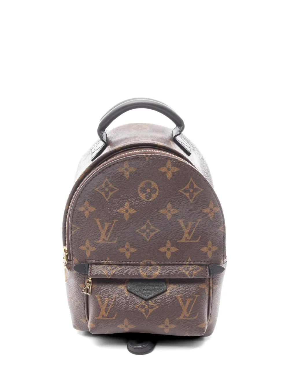Louis Vuitton Pre-Owned 2021s Palm Springs mini backpack - Marrone