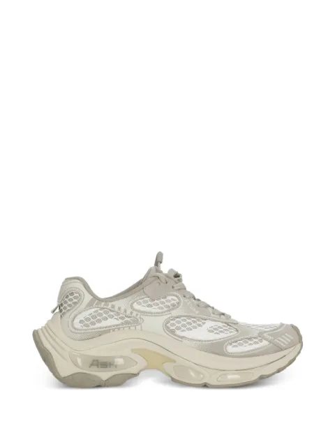 Ash tenis Dragon