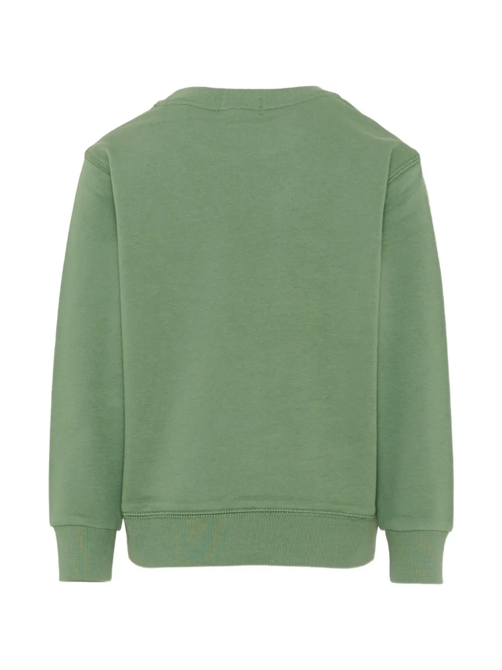 POLO RALPH LAUREN KIDS Sweater met geborduurd logo Groen