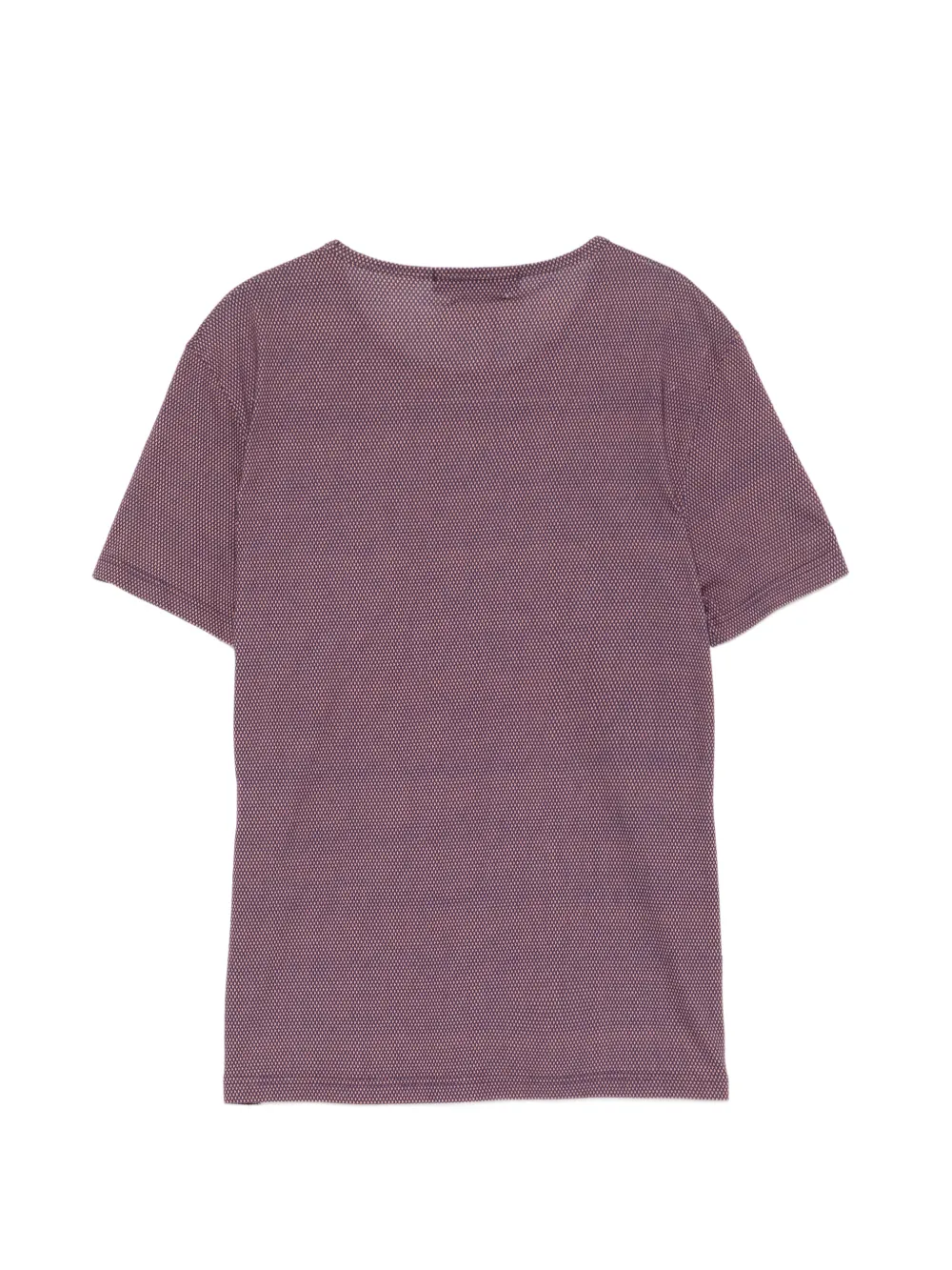 Alexander McQueen T-shirt met doodskopprint Paars