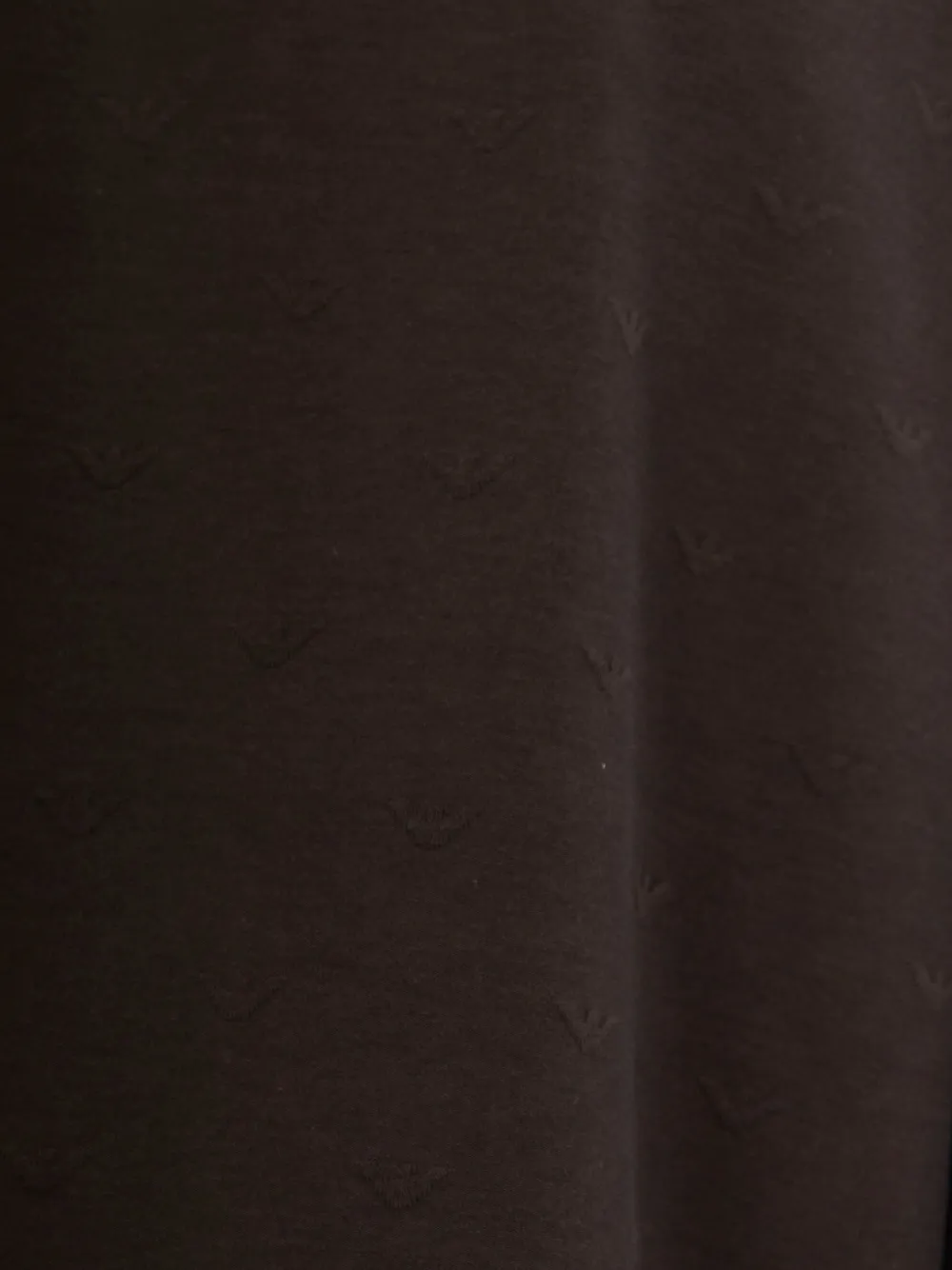 Emporio Armani Hoodie met adelaar jacquard Bruin