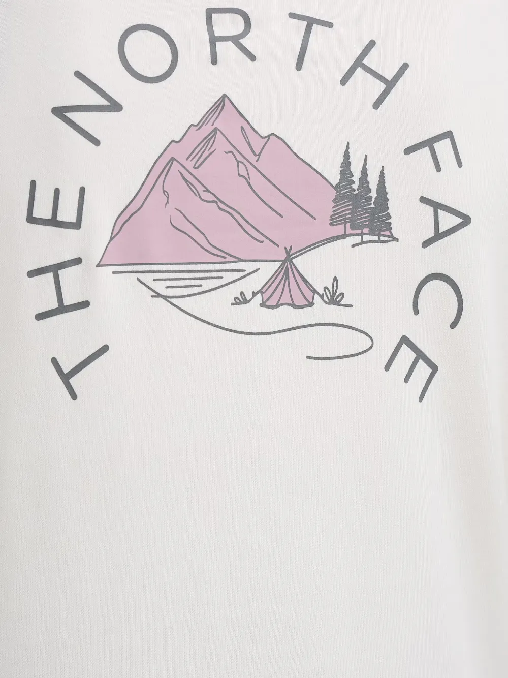 The North Face Monte hoodie met grafische print Beige