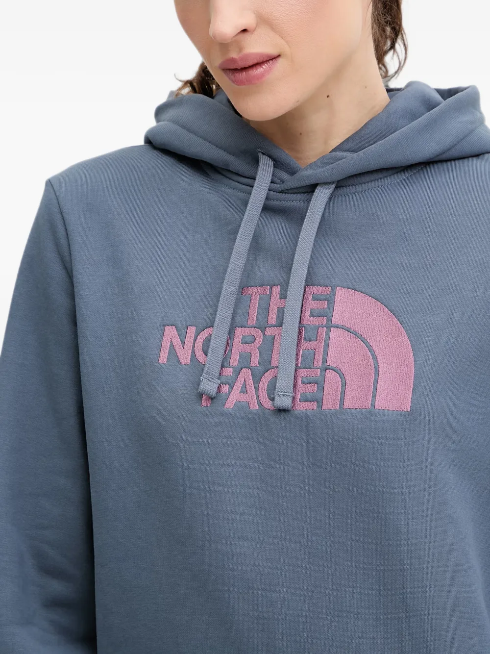 The North Face Drew Peak hoodie Blauw