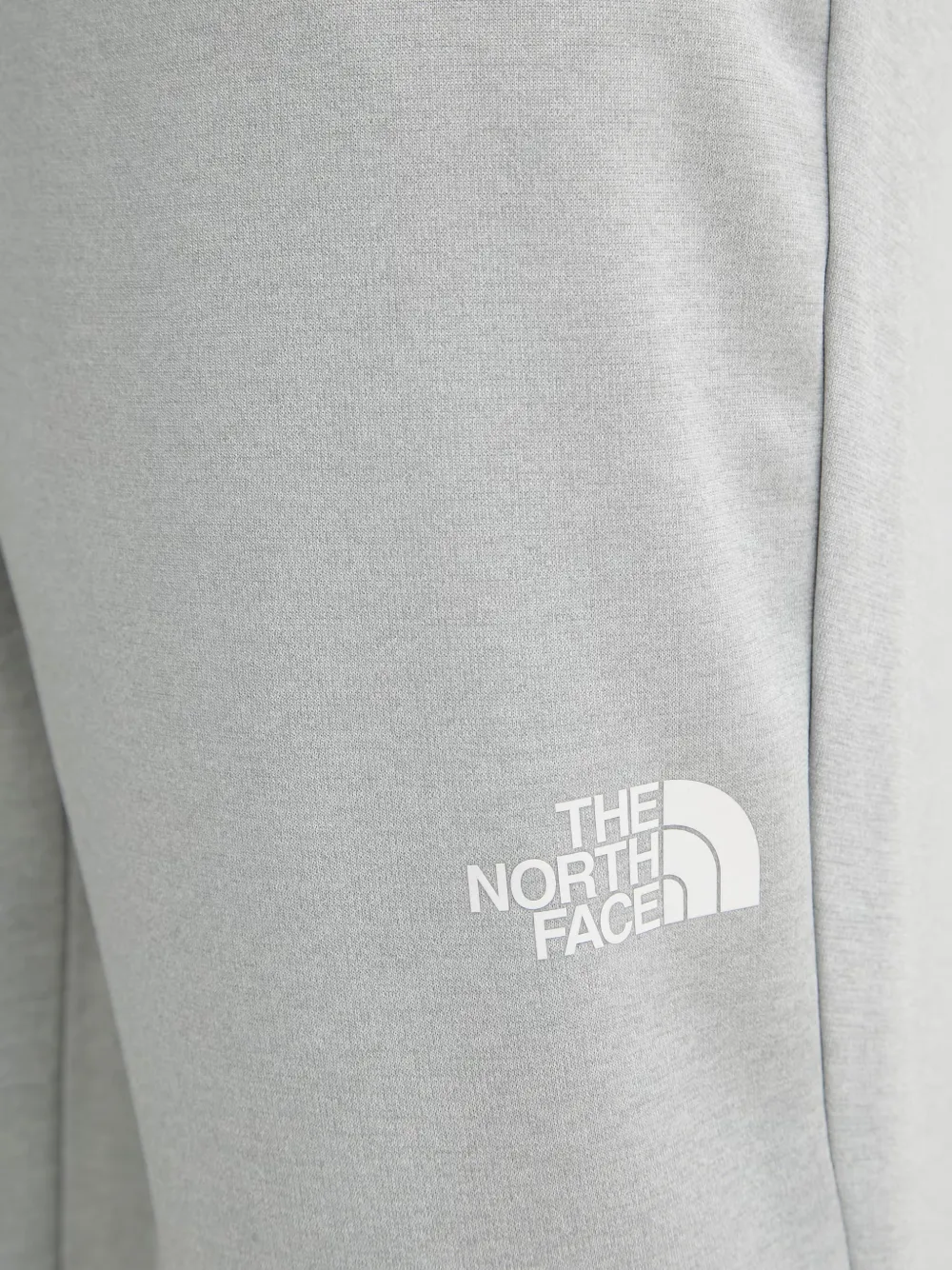 The North Face Trainingsbroek met logoprint Grijs