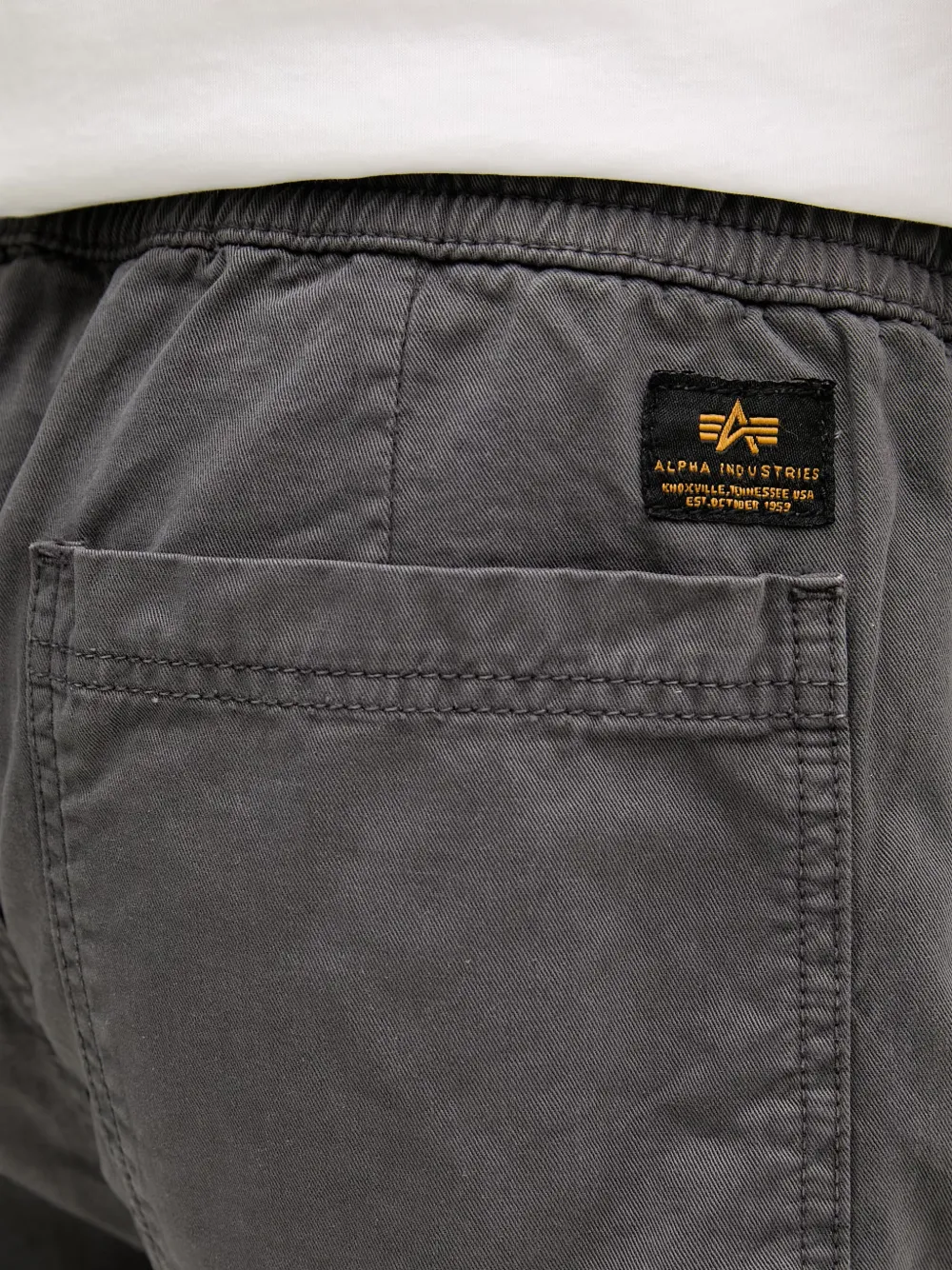Alpha Industries Shorts met trekkoord Grijs