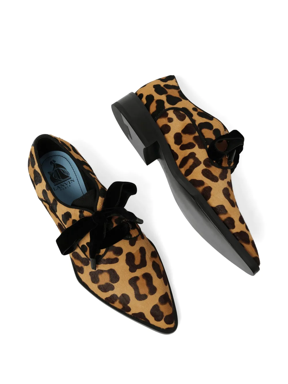 Lanvin Derby schoenen met luipaardprint en ringlets Bruin