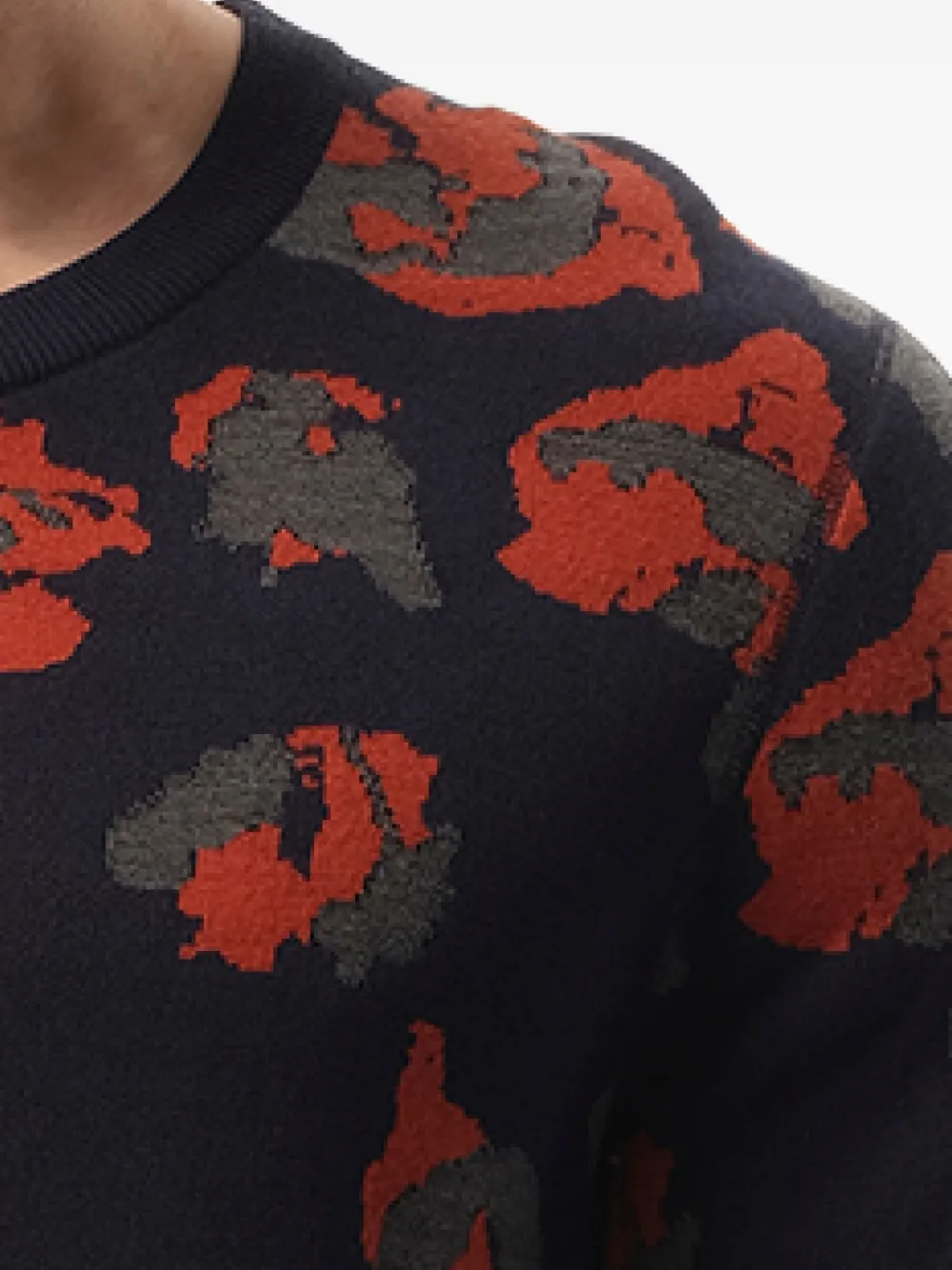 Lanvin Trui met luipaardjacquard Blauw
