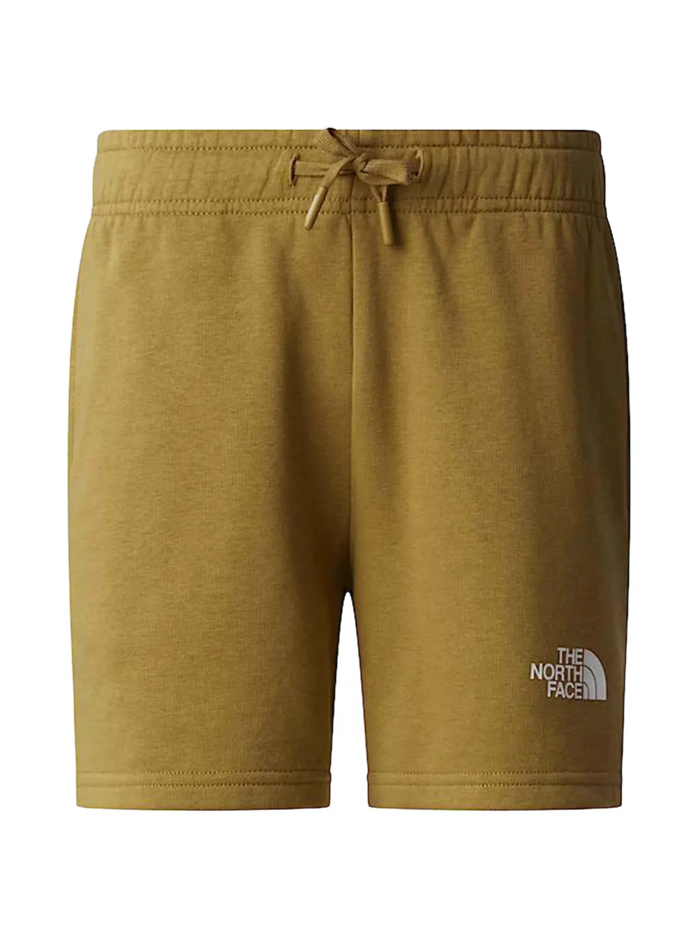 The North Face Kids Simple Dome Light logo-print drawstring shorts - Marrone