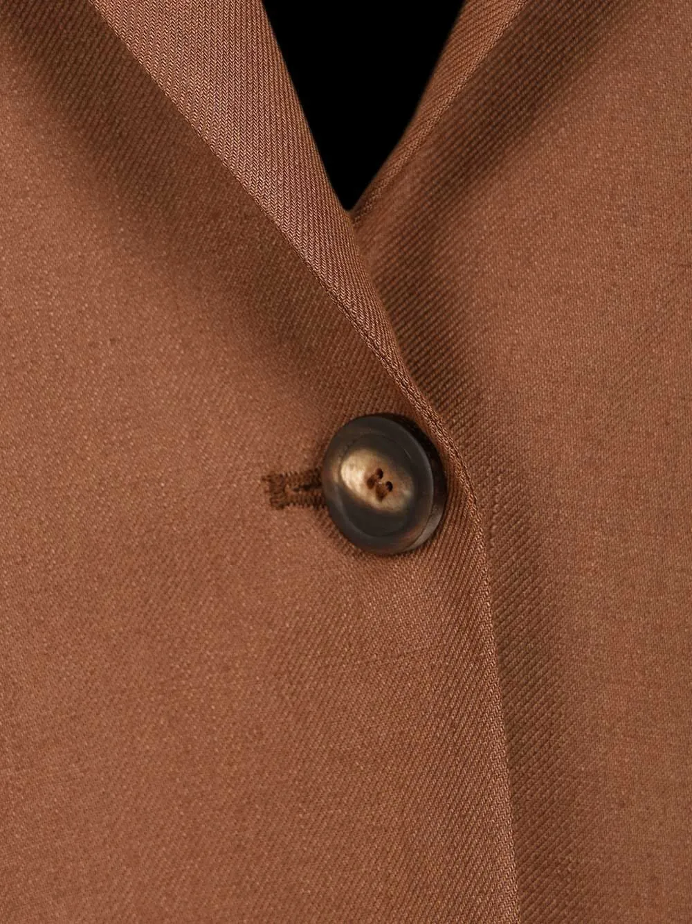 Tagliatore Bruna blazer met enkele rij knopen Bruin