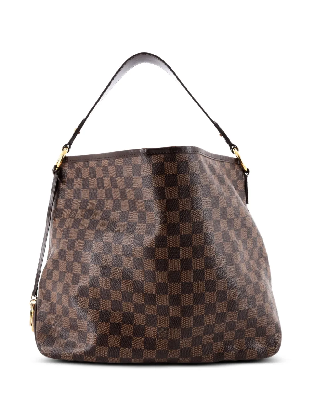 Louis Vuitton Pre-Owned Delightful NM Handbag Damier PM hobo bag - Braun
