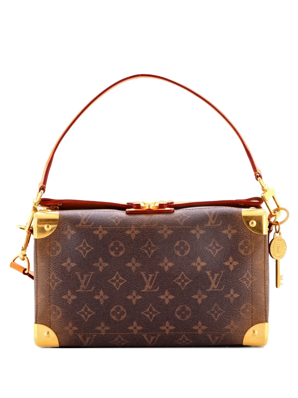 Louis Vuitton Pre-Owned Soul Trunk Bag Monogram Dust Leather East West travel bag - Marrone