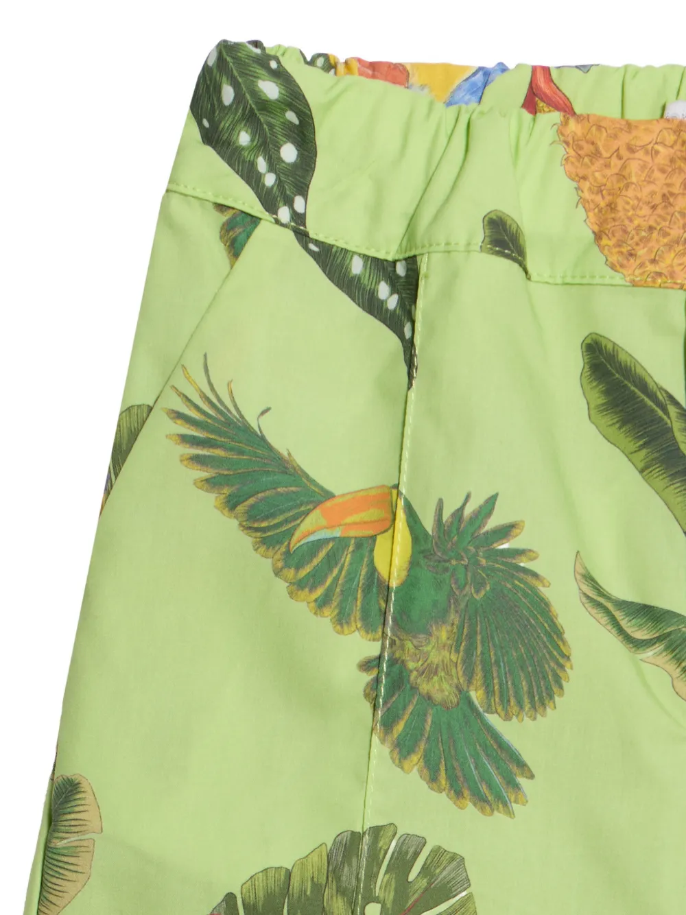 Roberto Cavalli Junior Shorts met print Groen