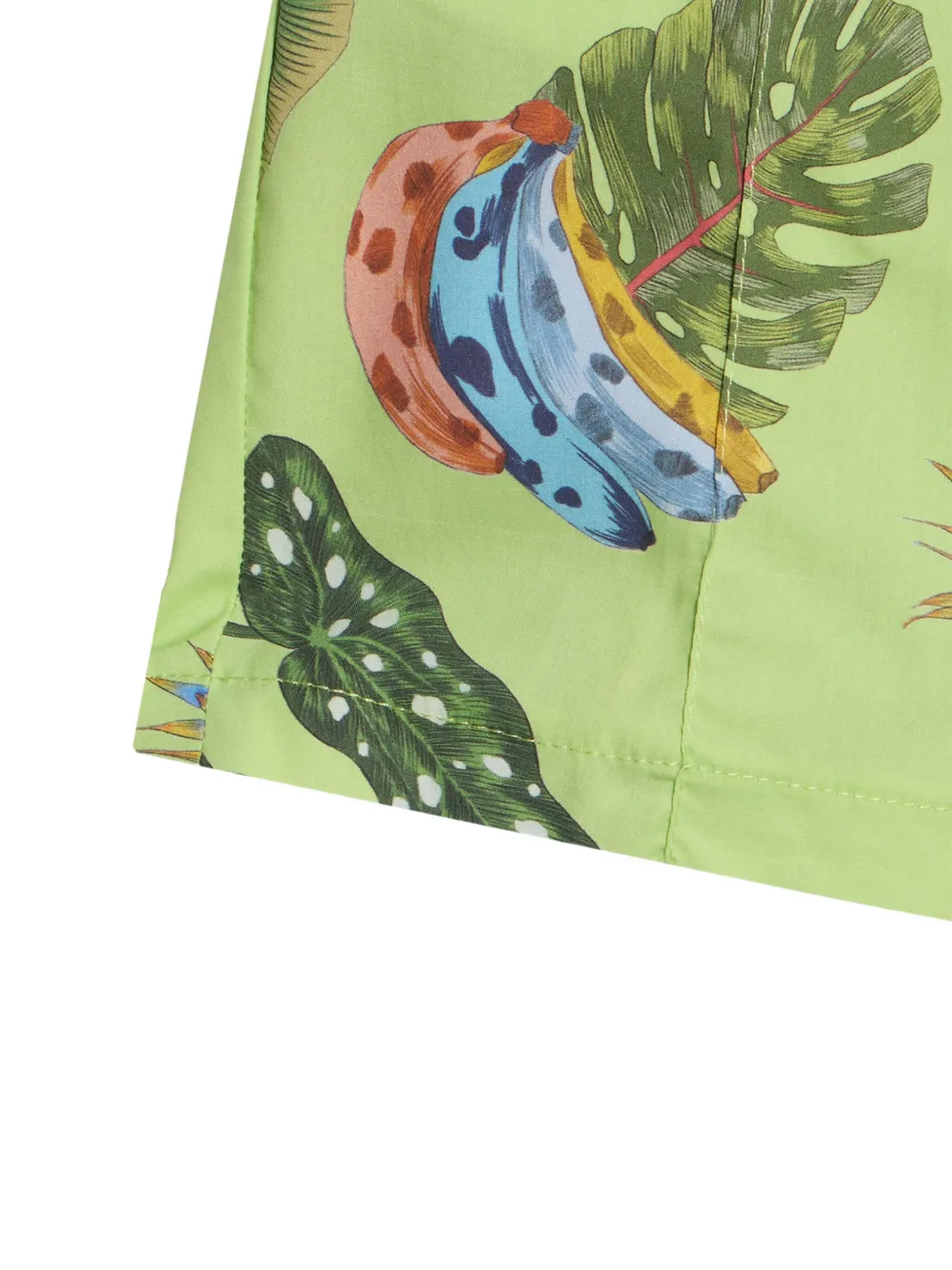 Roberto Cavalli Junior Shorts met print Groen