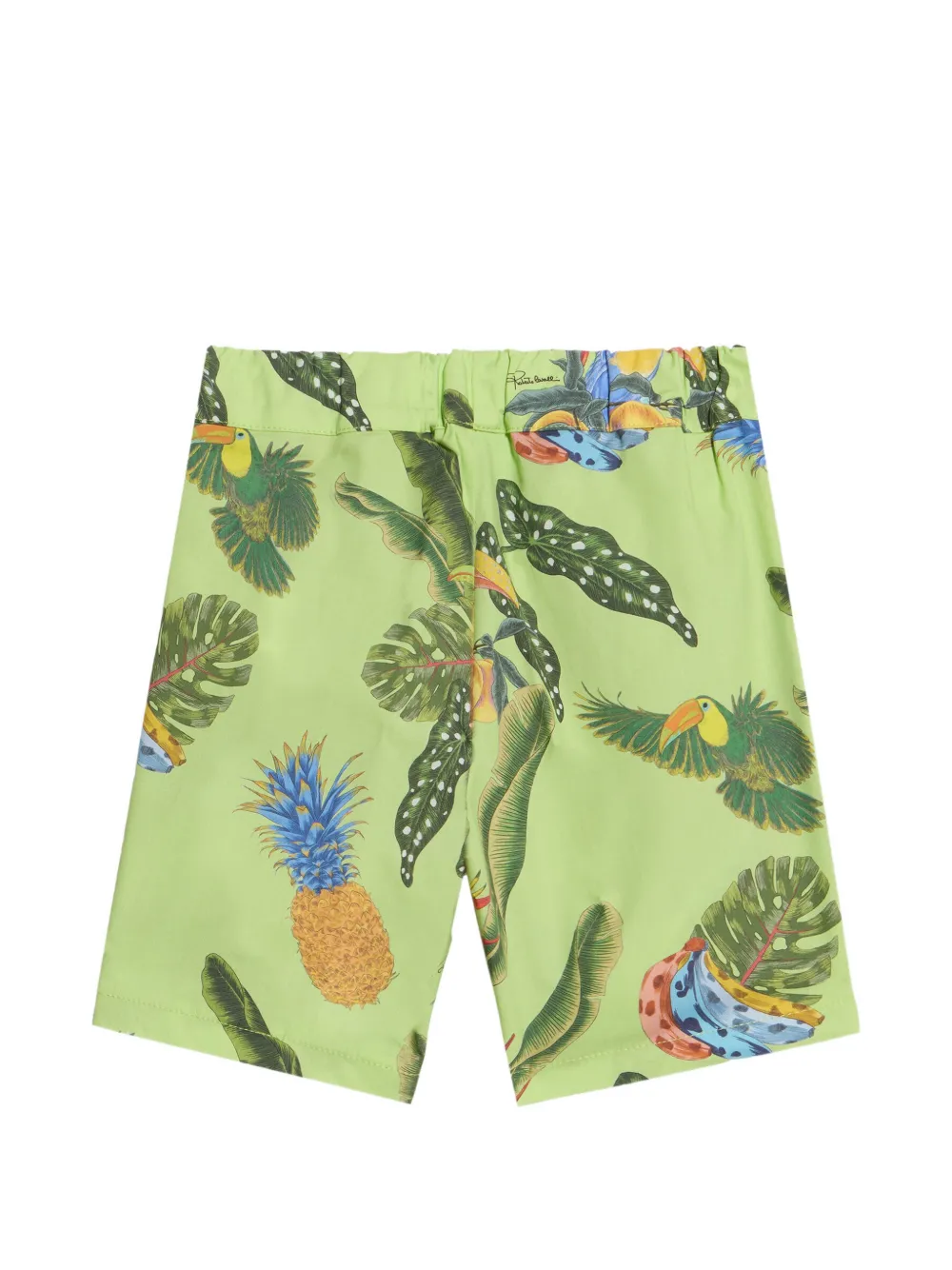 Roberto Cavalli Junior Shorts met print Groen