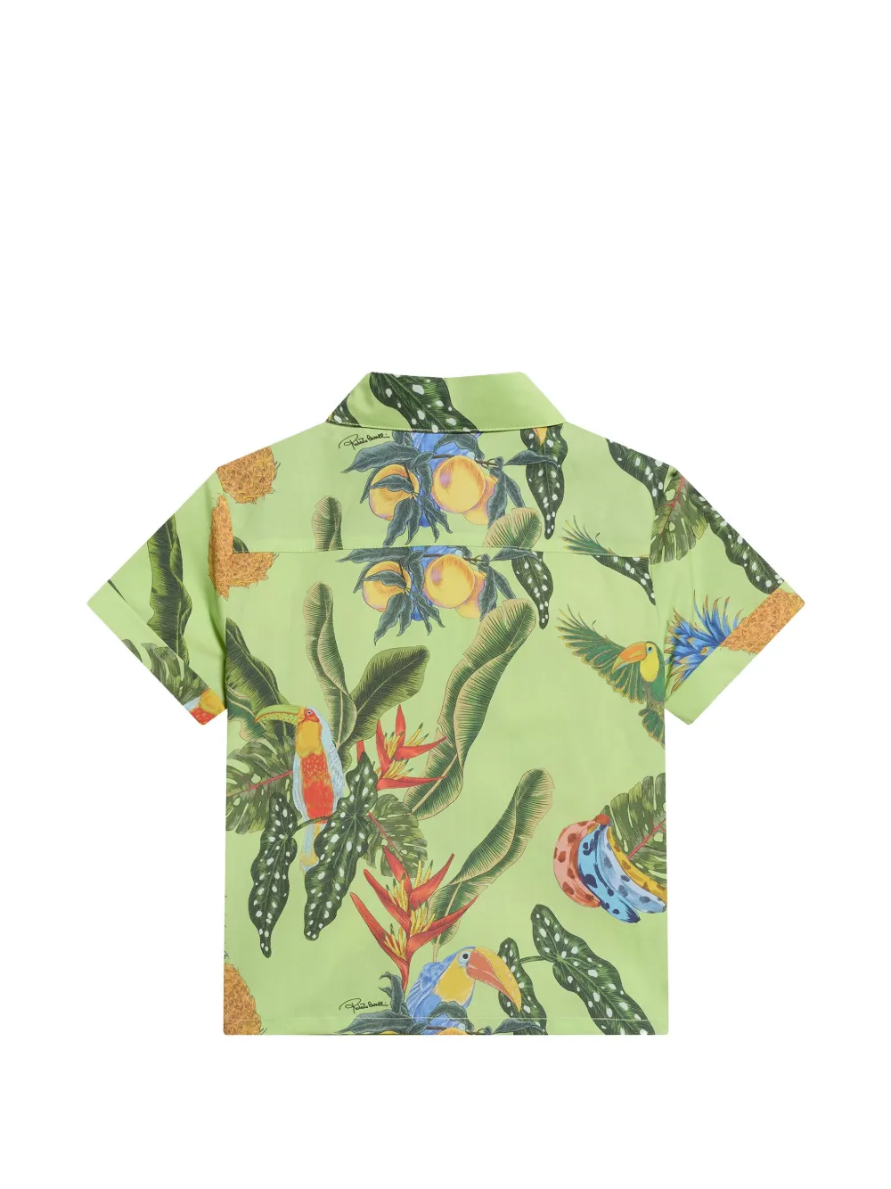 Roberto Cavalli Junior Overhemd met Tropicana-print en monogram Groen