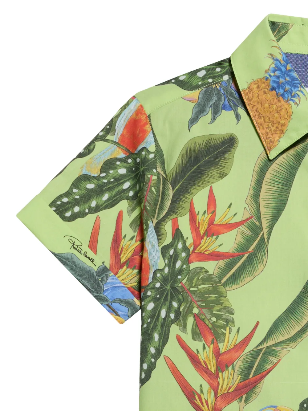 Roberto Cavalli Junior Overhemd met Tropicana-print en monogram Groen