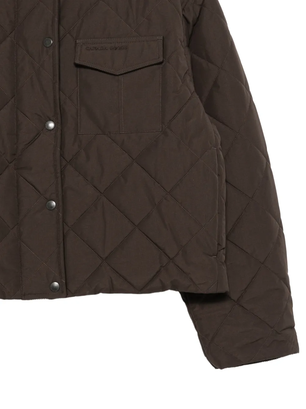Canada Goose Terra gewatteerd jack Bruin