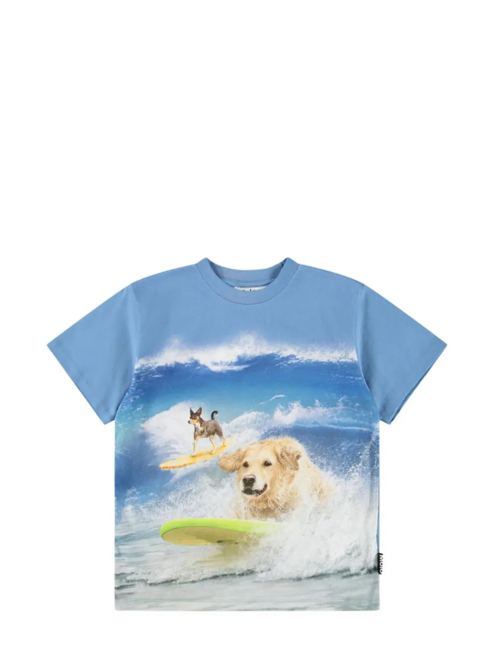 Molo graphic-print cotton T-shirt - Blu
