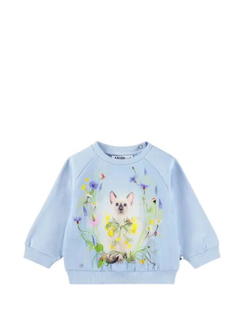 Molo Disc kitten-print sweatshirt
