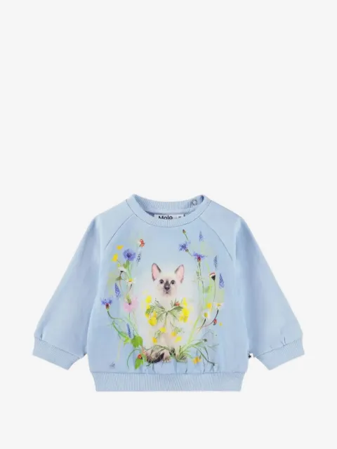 Molo sudadera Disc