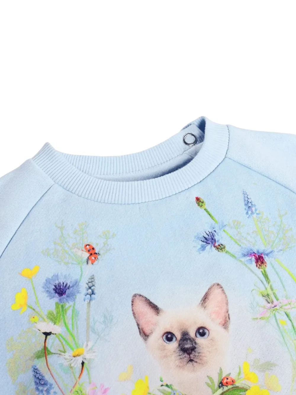  Molo Sudadera Disc Con Gatito Estampado - Azul 