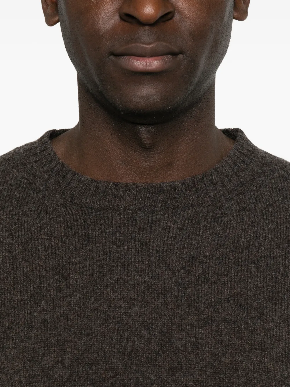 Daniele Fiesoli crew-neck wool sweater Bruin