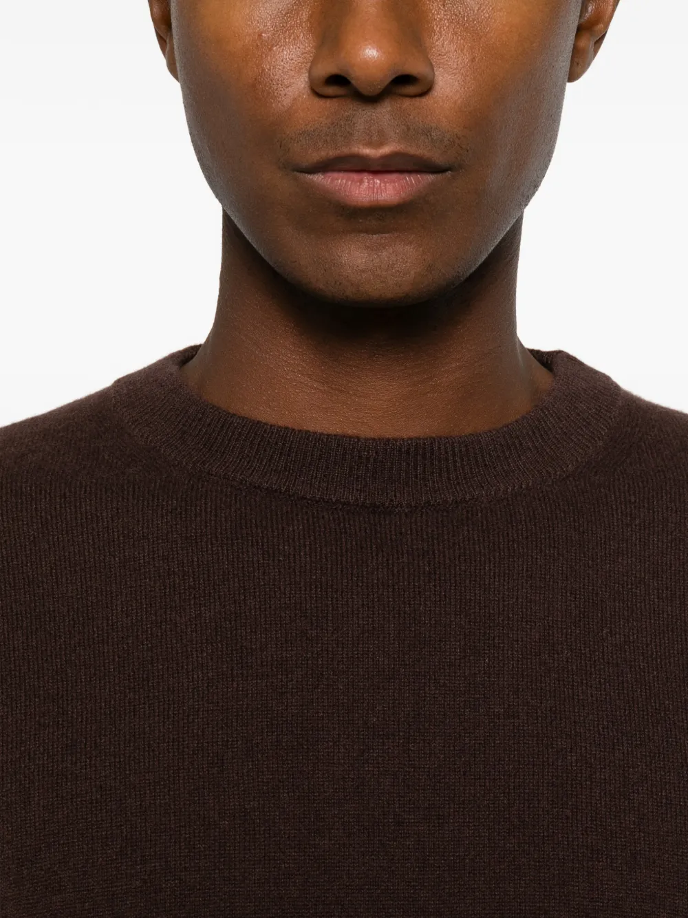 Daniele Fiesoli cashmere crew-neck sweater Bruin