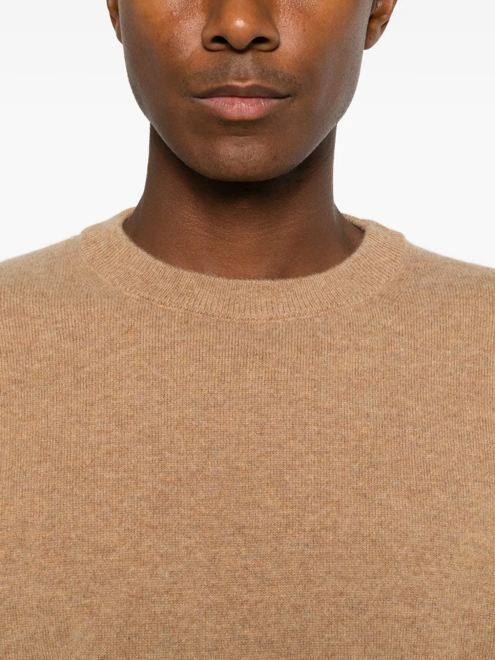 Daniele Fiesoli crew-neck cashmere sweater Bruin