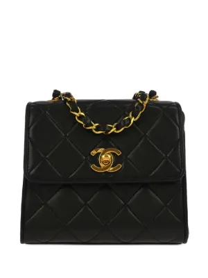 CHANEL Pre-Owned 2007 エコファートリム ショルダーバッグ | ブラック