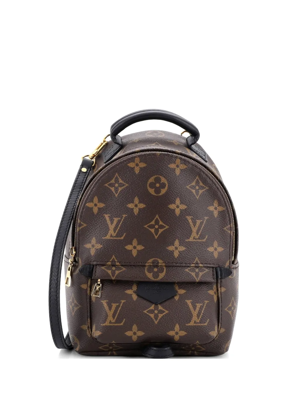 Louis Vuitton Pre-Owned Palm Springs Monogram Canvas Mini backpack - Marrone