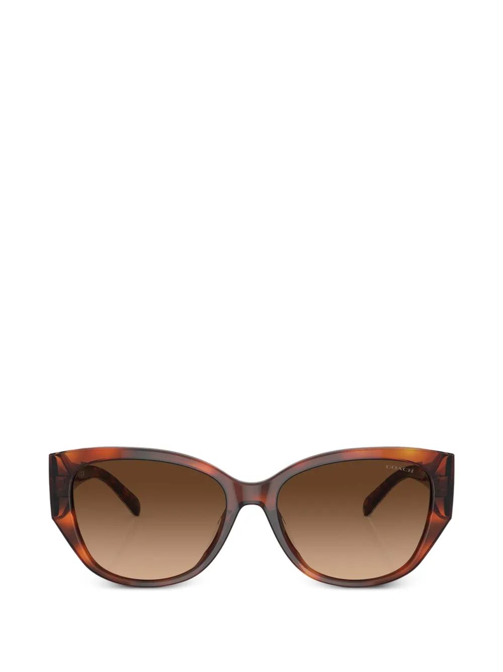 Coach D-frame 玳瑁纹效果太阳眼镜 In Brown