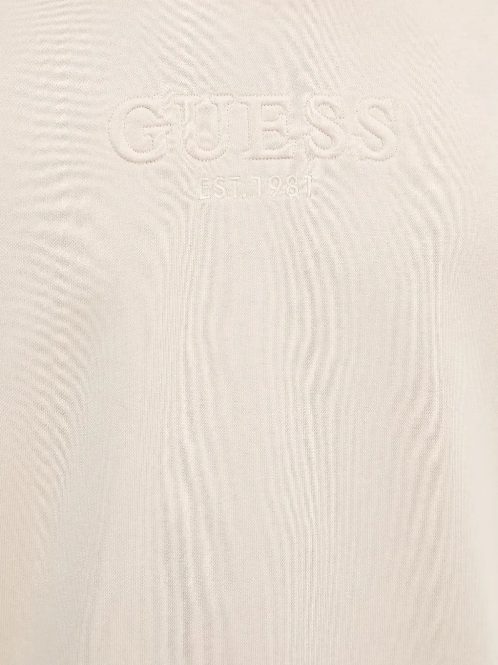 GUESS USA Sweater met geborduurd logo Beige