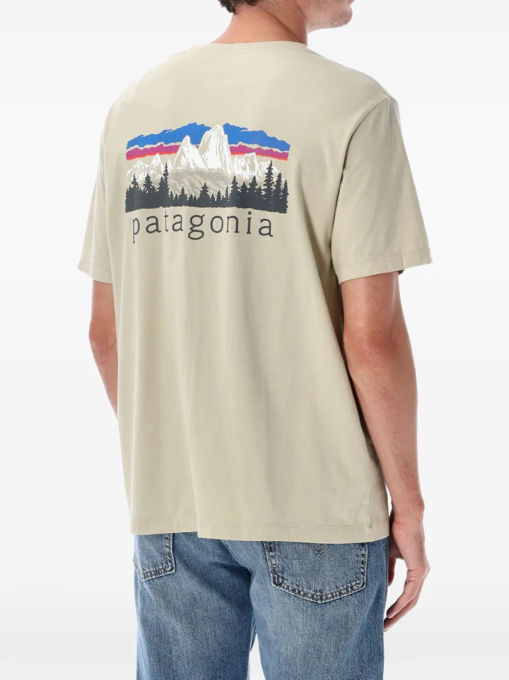 Patagonia Fitz Roy Foothills T-shirt met logoprint Beige