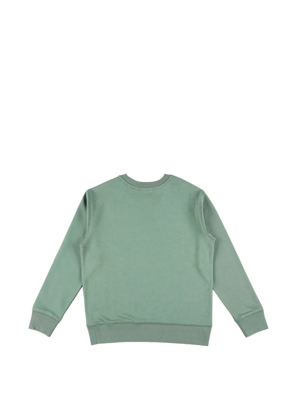 POLO RALPH LAUREN KIDS Sweater met pony-patroon Groen