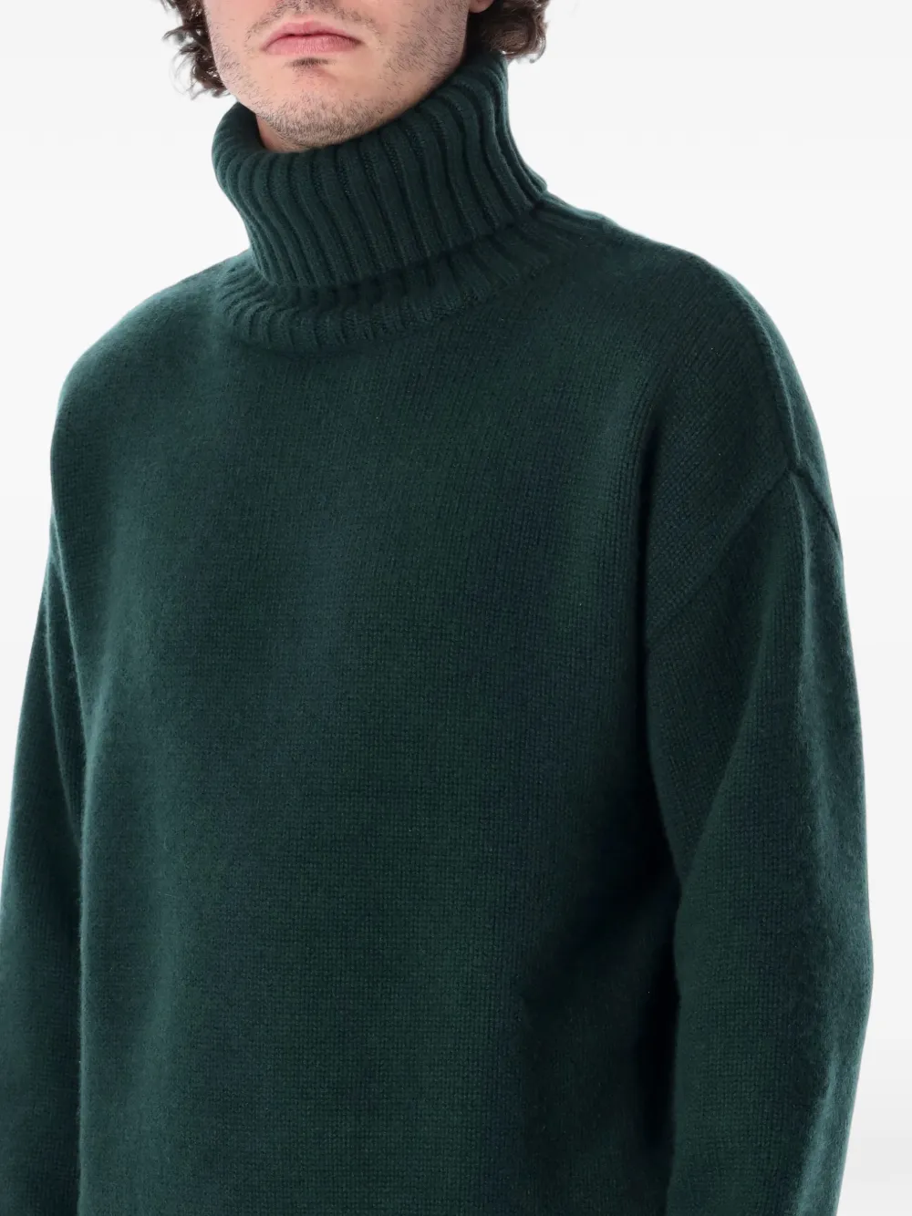 extreme cashmere Oversiz Extra roll-neck sweater Groen