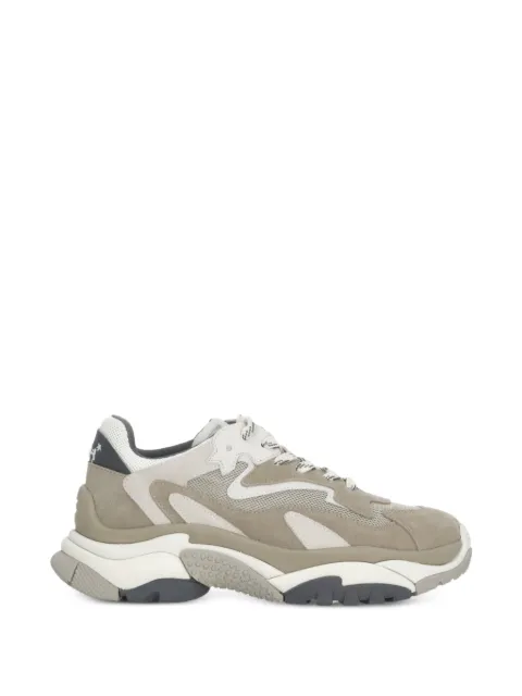 Ash Addict panelled sneakers